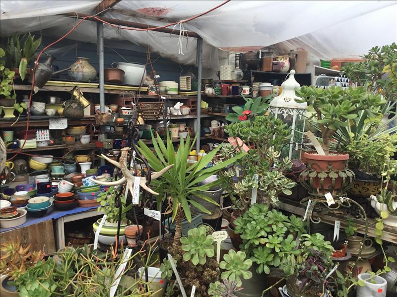 Ames Greenhouse Floral Antiques Ames IA