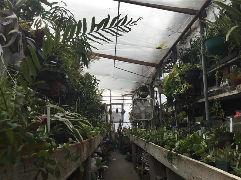 Ames Greenhouse Floral & Antiques Ames, IA